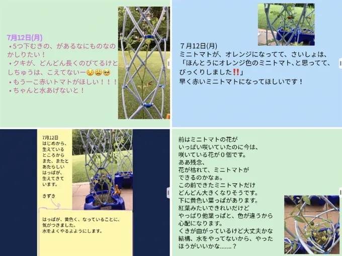 サムネイル画像