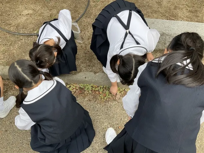 サムネイル画像