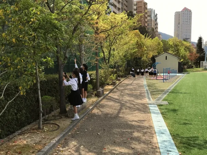 サムネイル画像