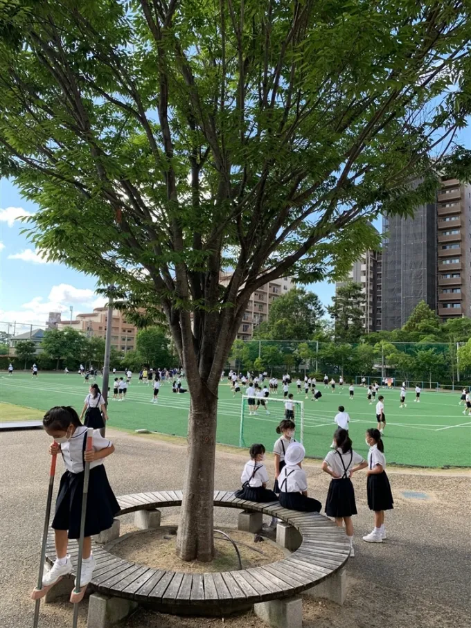 サムネイル画像