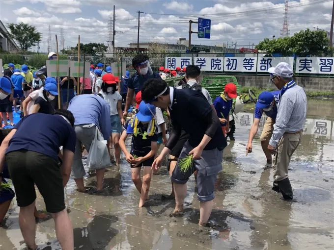 サムネイル画像