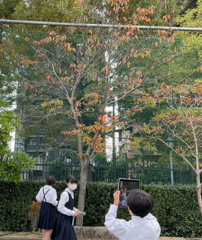 サムネイル画像