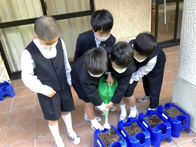 サムネイル画像