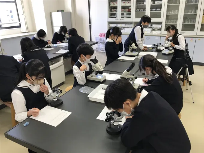サムネイル画像