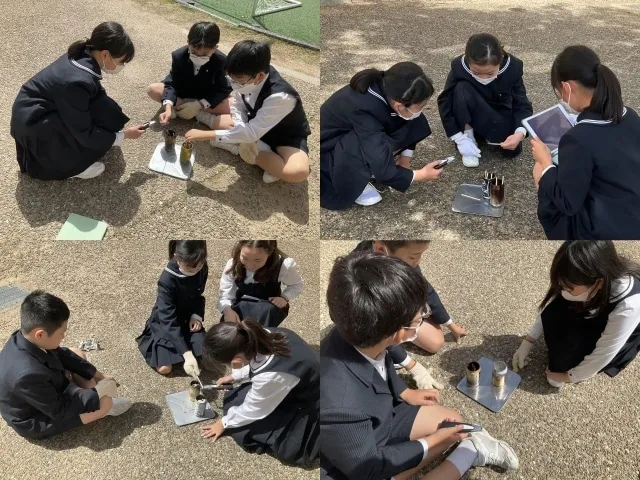 サムネイル画像