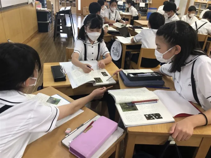サムネイル画像