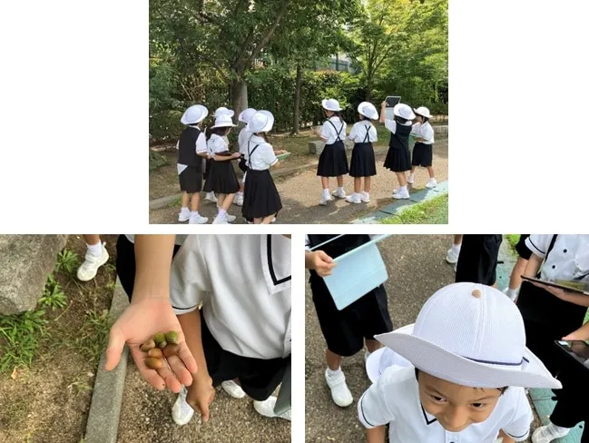 サムネイル画像