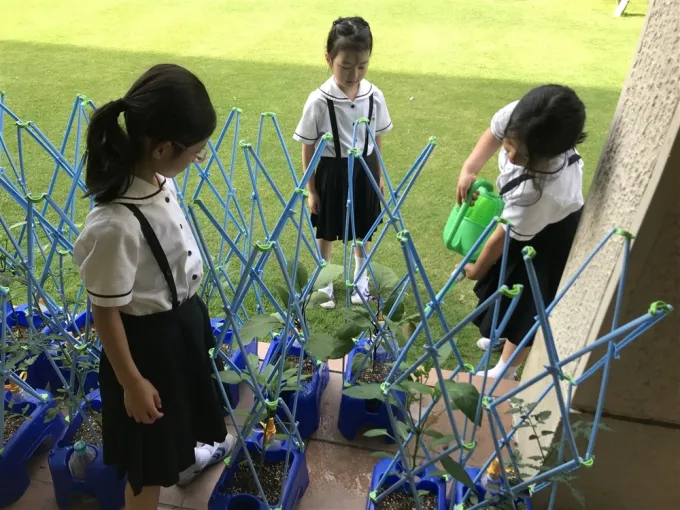 サムネイル画像