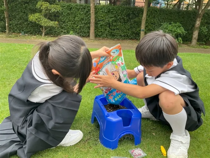 サムネイル画像