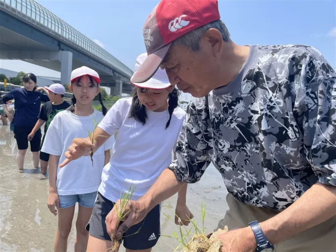 サムネイル画像