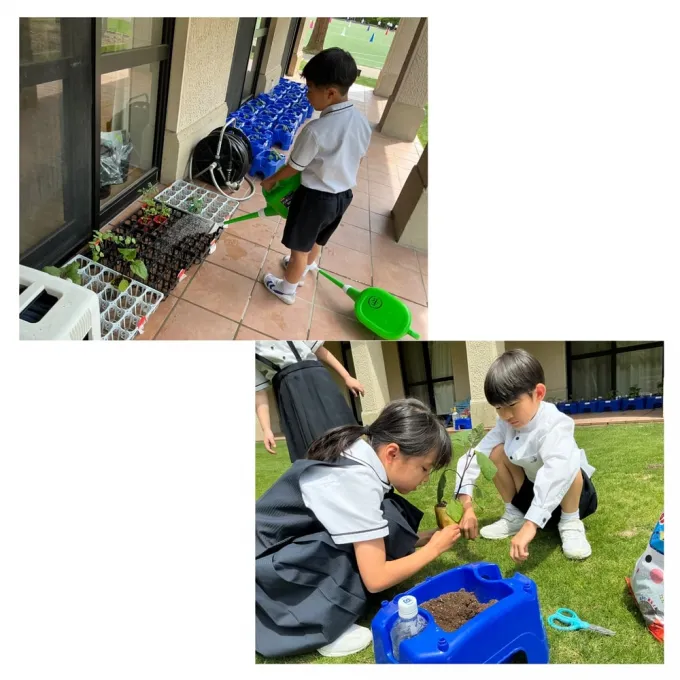 サムネイル画像